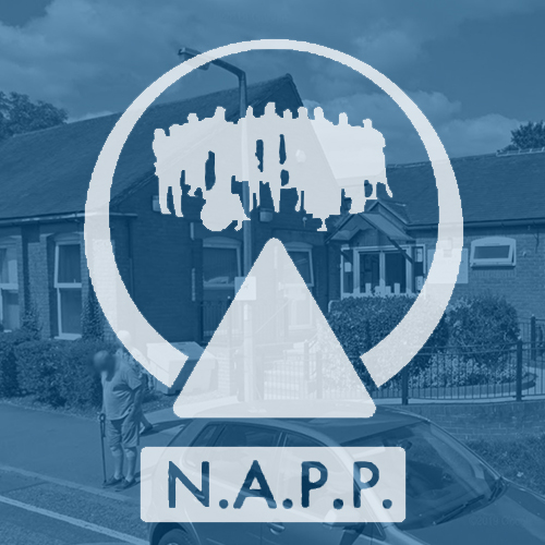 nappnewslettericon